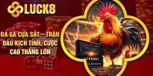 Đá Gà Cựa Sắt – Trận Đấu Kịch Tính, Cược Cao Thắng Lớn