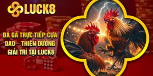 Đá Gà Trực Tiếp Cựa Dao – Thiên Đường Giải Trí Tại Luck8