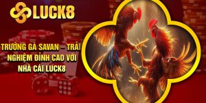 Trường Gà Savan – Trải Nghiệm Đỉnh Cao Với Nhà Cái Luck8