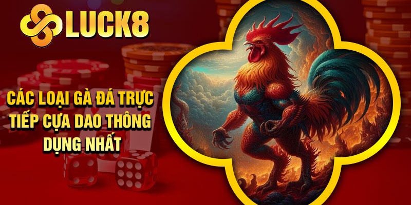Các loại gà đá trực tiếp cựa dao thông dụng nhất