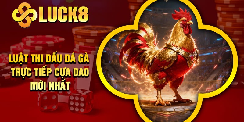 Luật thi đấu đá gà trực tiếp cựa dao mới nhất