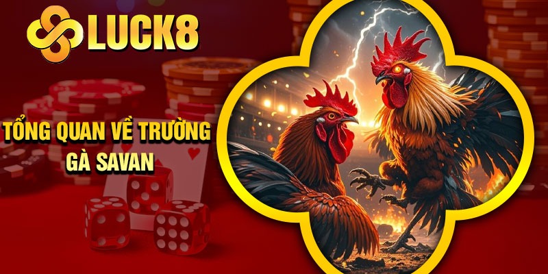 Tổng quan về Trường Gà Savan
