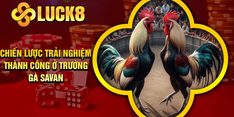 Chiến lược trải nghiệm thành công ở Trường Gà Savan
