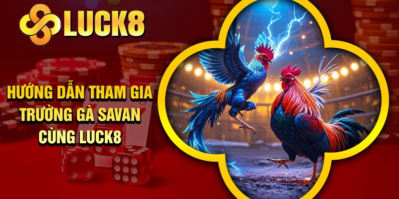 Hướng dẫn tham gia Trường Gà Savan cùng Luck8