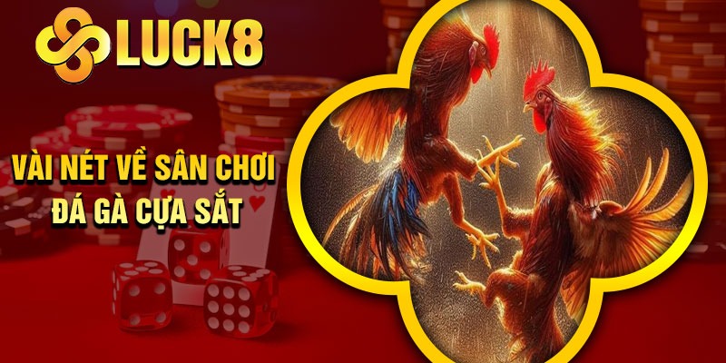 Vài nét về sân chơi đá gà cựa sắt