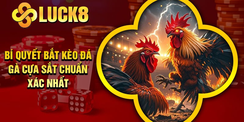 Bí quyết bắt kèo đá gà cựa sắt chuẩn xác nhất
