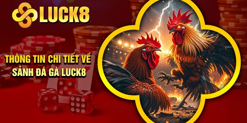 Thông tin chi tiết về sảnh đá gà Luck8